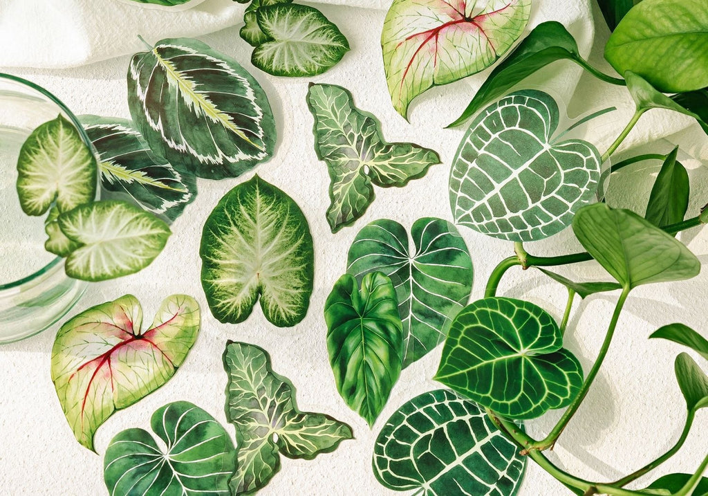 Green Leaf Sticker