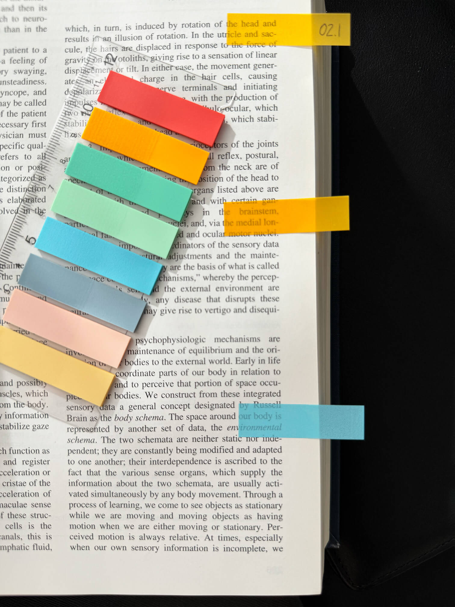 Index Sticker Set – Ruler Rainbow Color